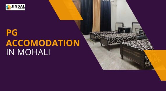 Finding the Perfect PG Accommodation in Mohali: Jindal Services Has You Covered